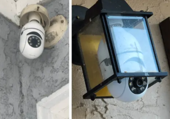 HauSafe Cam HD Customer Reviews