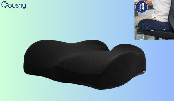 Coushy Seat Cushion Reviews (1)